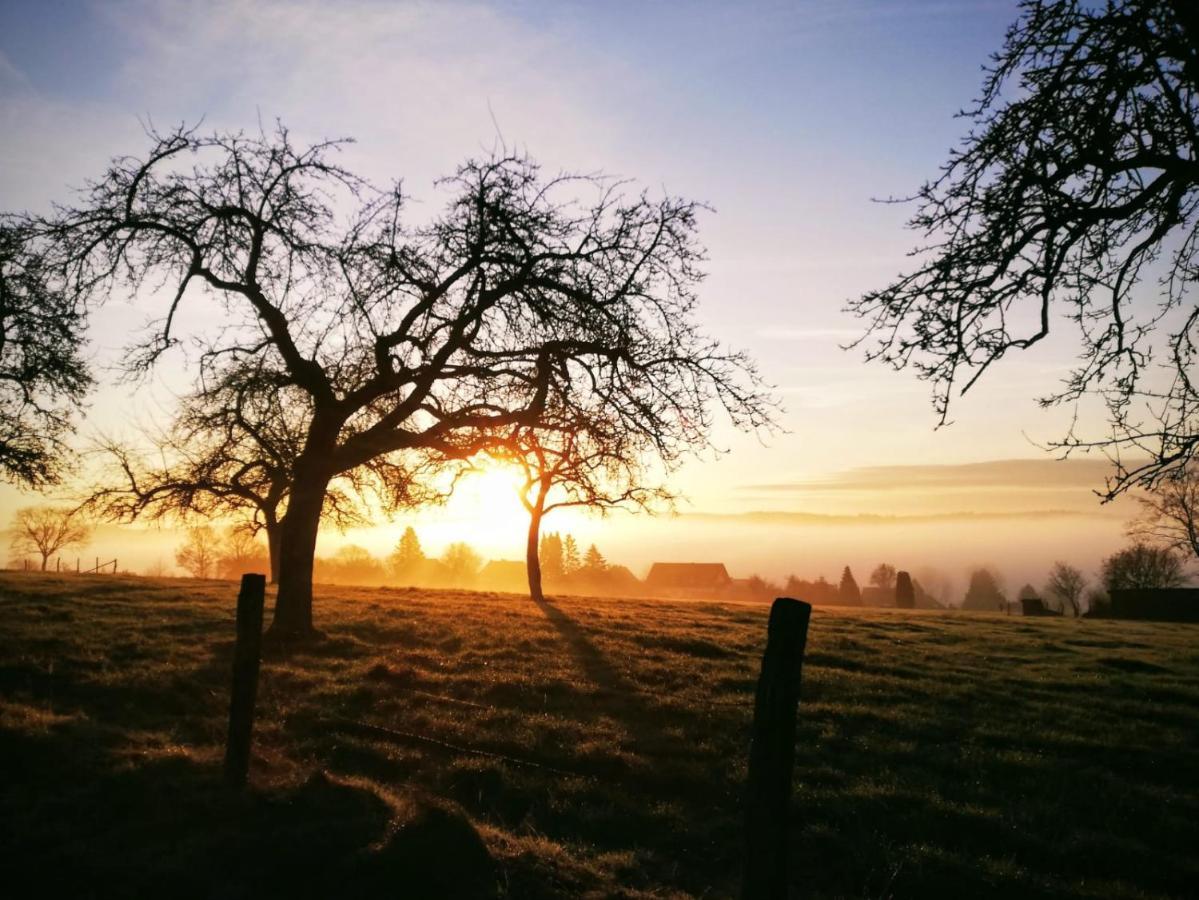 Apartmán Gemuetliches Fachwerk Im Oberbergischen Wiehl Exteriér fotografie